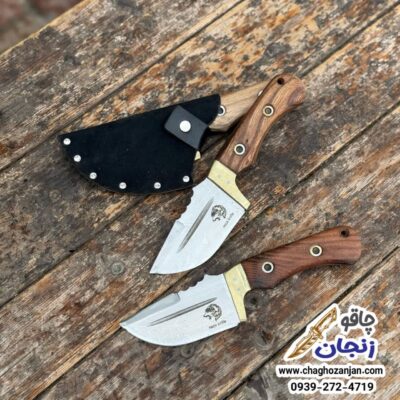 تیزی وفا باغلاف