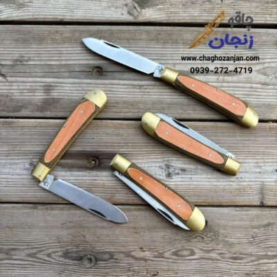 کارد میوه خوری استیل